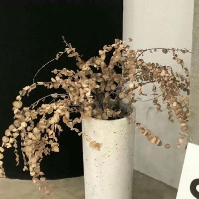 利川FurryQQ群介绍